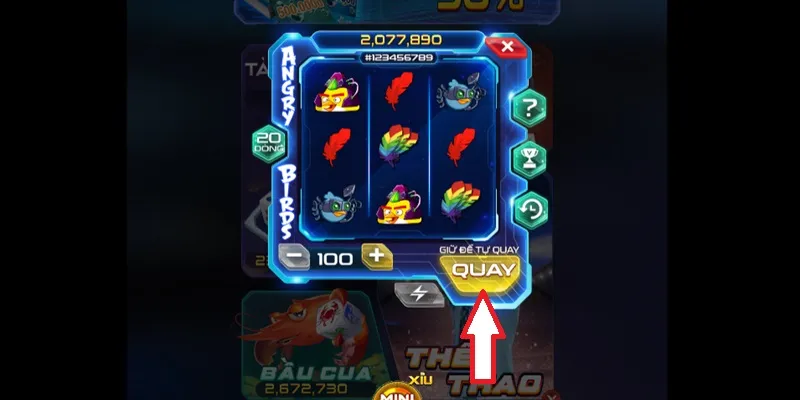 angry birds win79