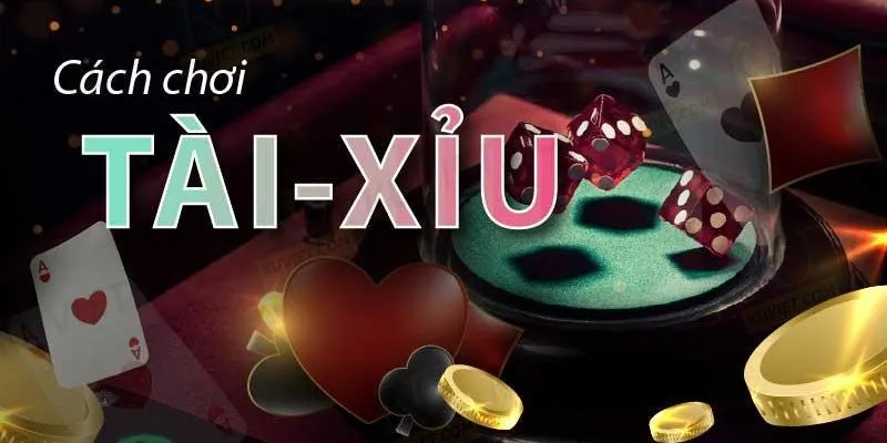 lam chu dong tien la ky nang khong the thieu khi ca do tai xiu