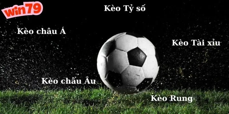 meo choi ca cuoc the thao soi keo chuan xac nhat tai cong game win79 meo choi ca cuoc the thao soi keo chuan xac nhat tai cong game win79