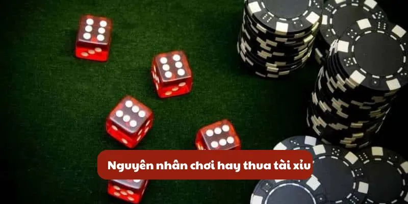 nguyen nhan choi hay thua tai xiu