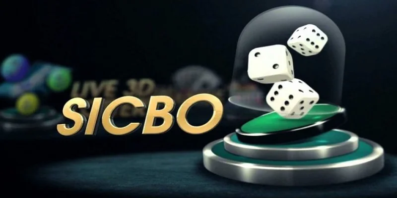 Khong nen cuoc nhieu cua khi tham gia game sicbo Win79