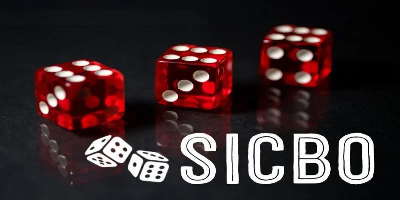 Sicbo tai Win79 online va nhung kien thuc co ban