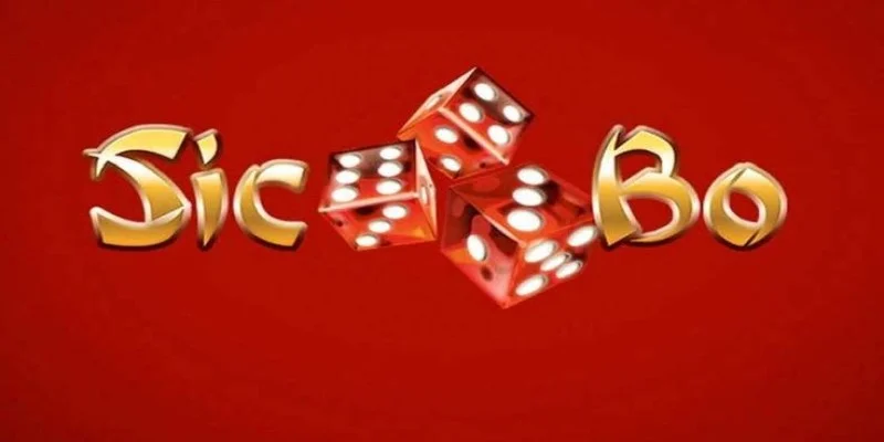 Vao tien cuoc cho con so cu the khi tham gia game sicbo