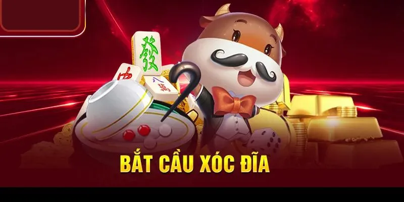 win79 huong dan soi cau xoc dia chinh xac giup tang ty le thang