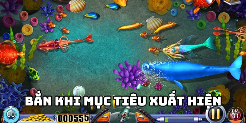 kinh nghiem choi ban ca hieu qua khi vua xuat hien