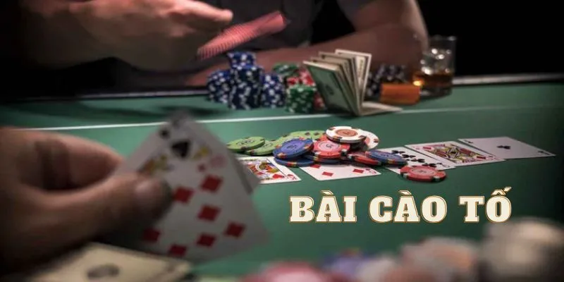 kinh nghiem choi cao to online huong dan chi tiet cho nguoi moi bat dau kinh nghiem choi cao to online huong dan chi tiet cho nguoi moi bat dau