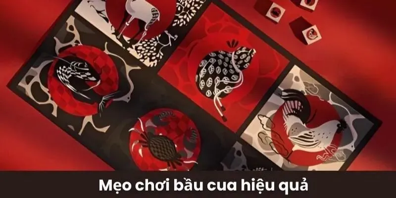 meo choi bau cua