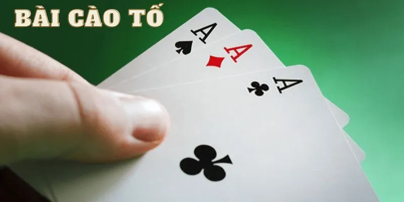 meo choi cao to