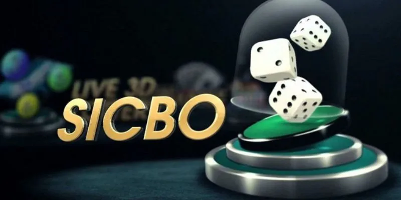 meo choi sicbo