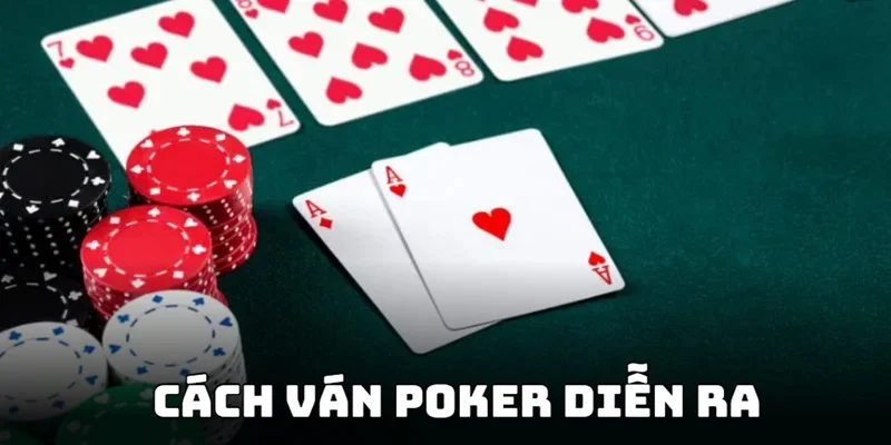 van bai duoc dien ra theo tung vong danh